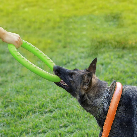 Puller Ring Toy For Dogs - 2B Above All