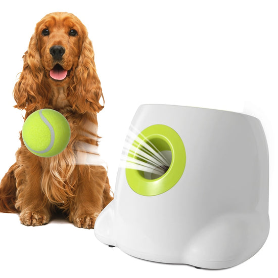 Dog Ball Automatic Launcher