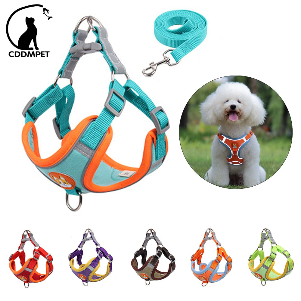 No Pull Pet Dog Harness and Leash Set - 2B Above All