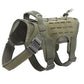 K9 Dog Tactical Harness & Leash - 2B Above All