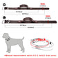 Genuine Leather Dog Collar - 2B Above All