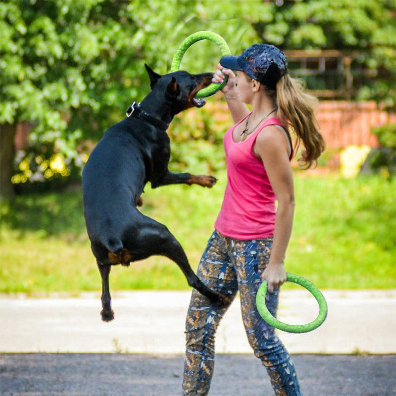 Puller Ring Toy For Dogs - 2B Above All