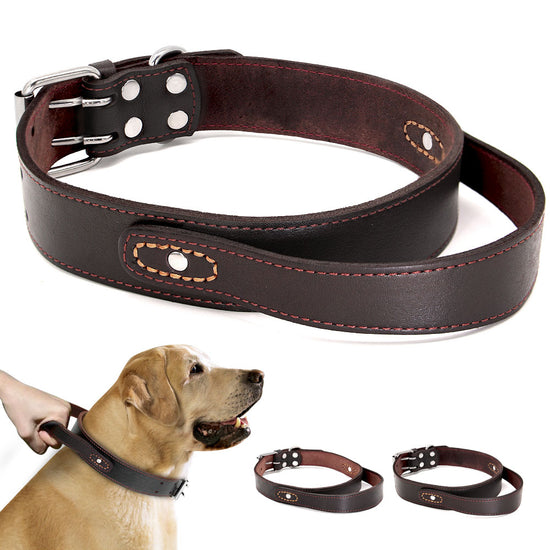 Genuine Leather Dog Collar - 2B Above All