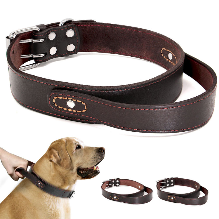 Dog Collar