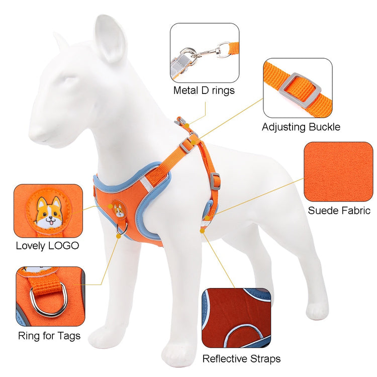 No Pull Pet Dog Harness and Leash Set - 2B Above All