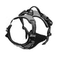 Reflective Adjustable Dog Harness - 2B Above All