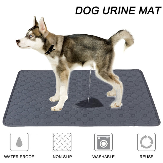 Washable Puppy Training Pad