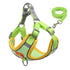 No Pull Pet Dog Harness and Leash Set - 2B Above All