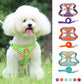 No Pull Pet Dog Harness and Leash Set - 2B Above All